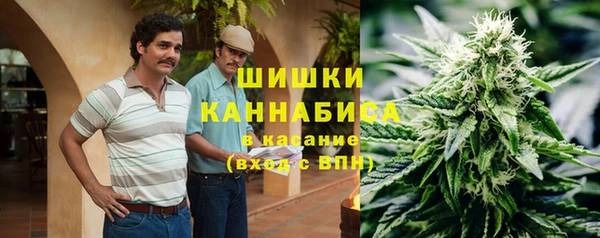 шишки Абинск