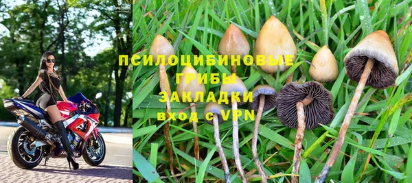 марихуана Абаза
