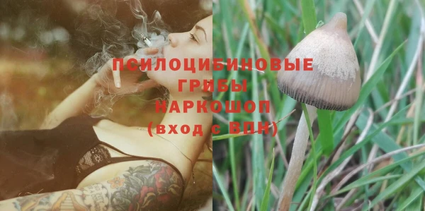 марихуана Абаза