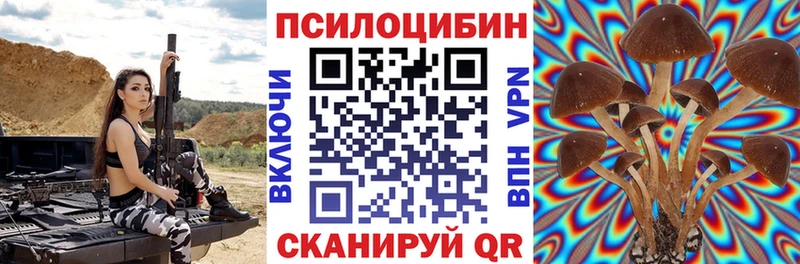 Псилоцибиновые грибы Cubensis  omg онион  Нариманов 